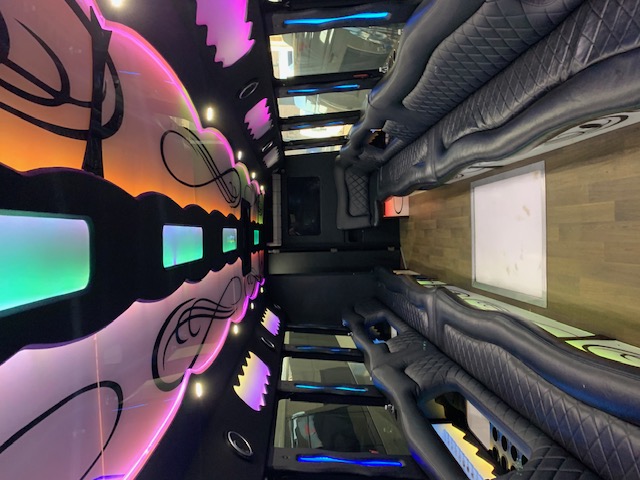 Party Bus Interior — The Luxe — Up to 20 Passengers
